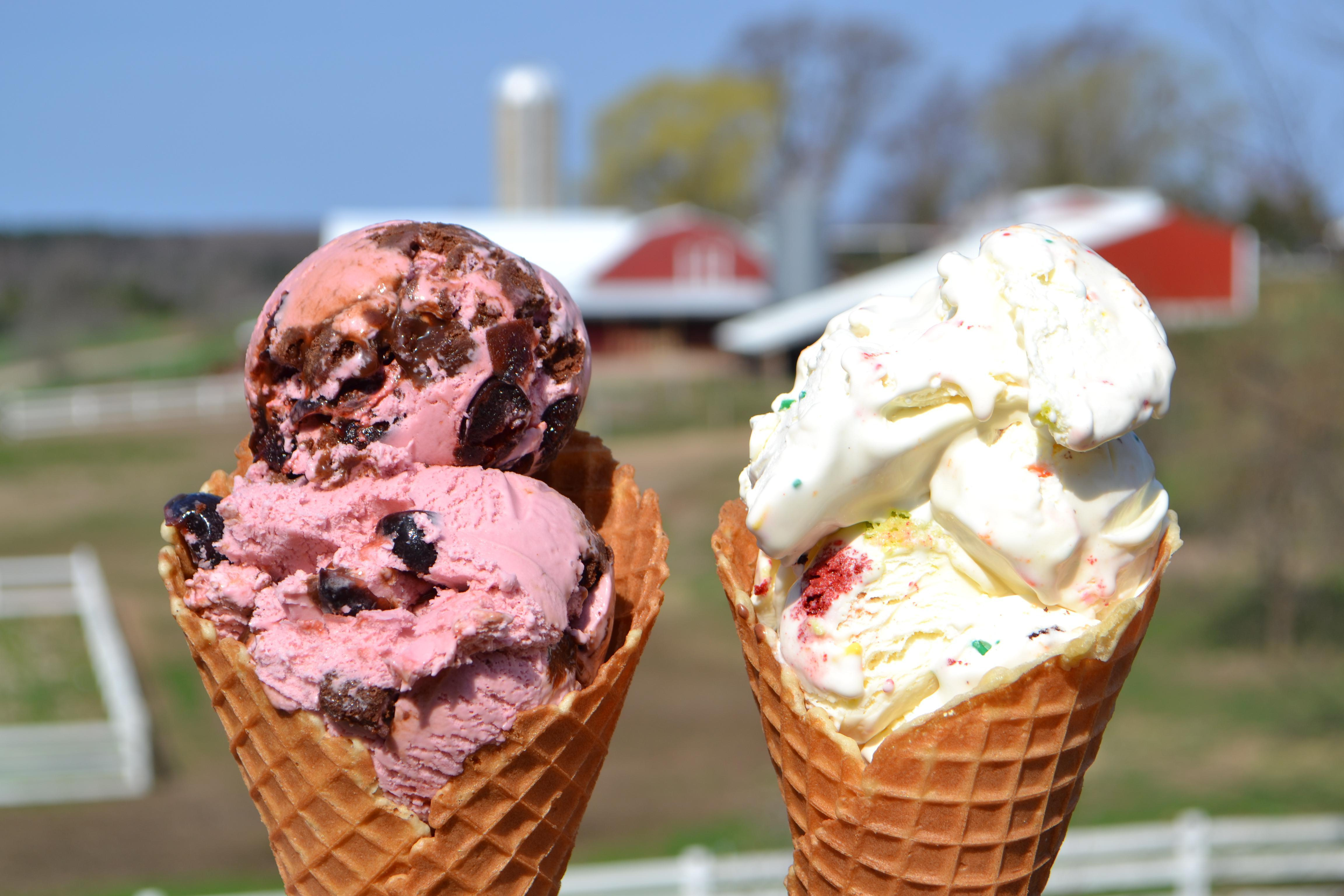 Successful Handcrafted Ice Cream Business For Sale
