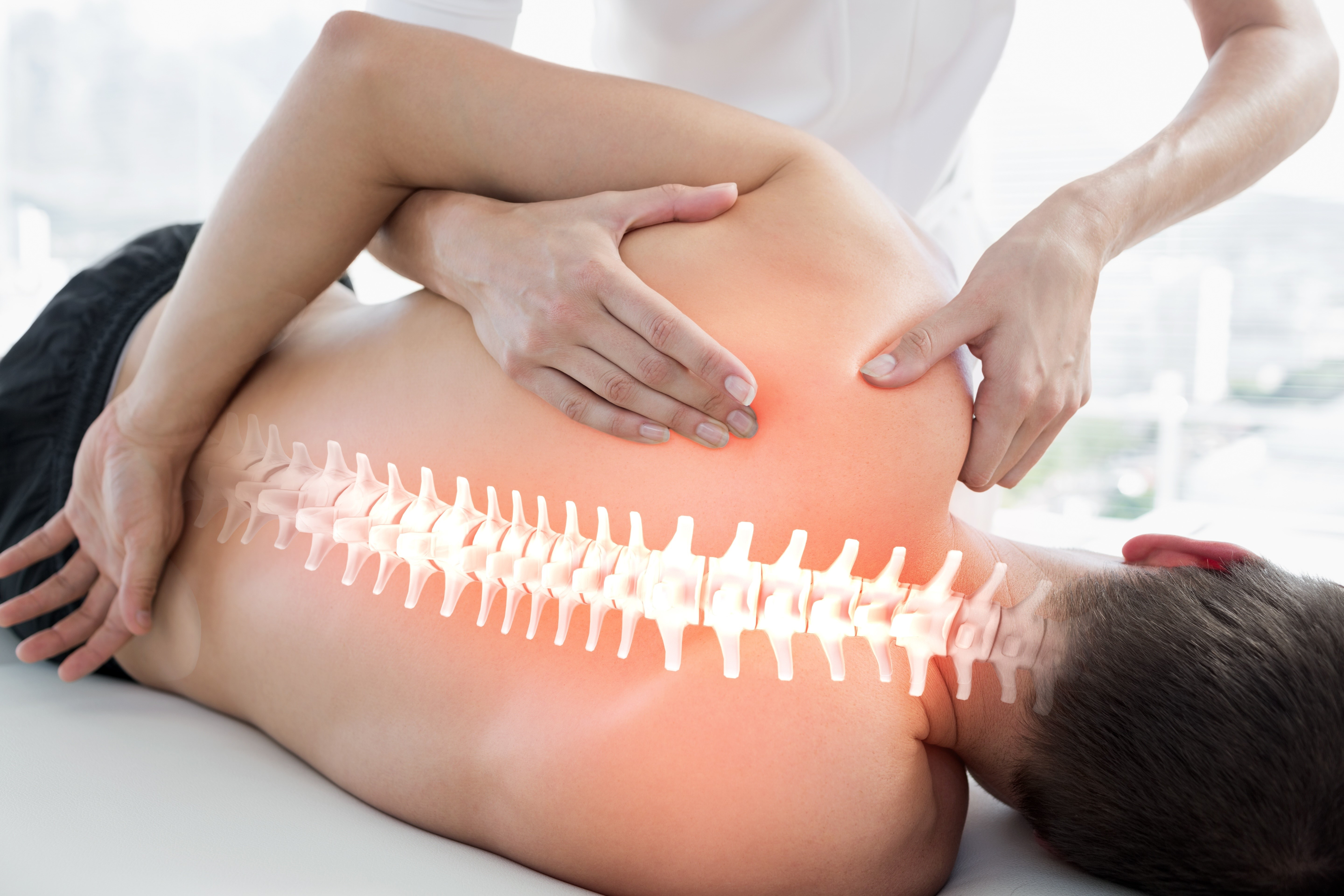 Chiropractic Business in Affluent Area 