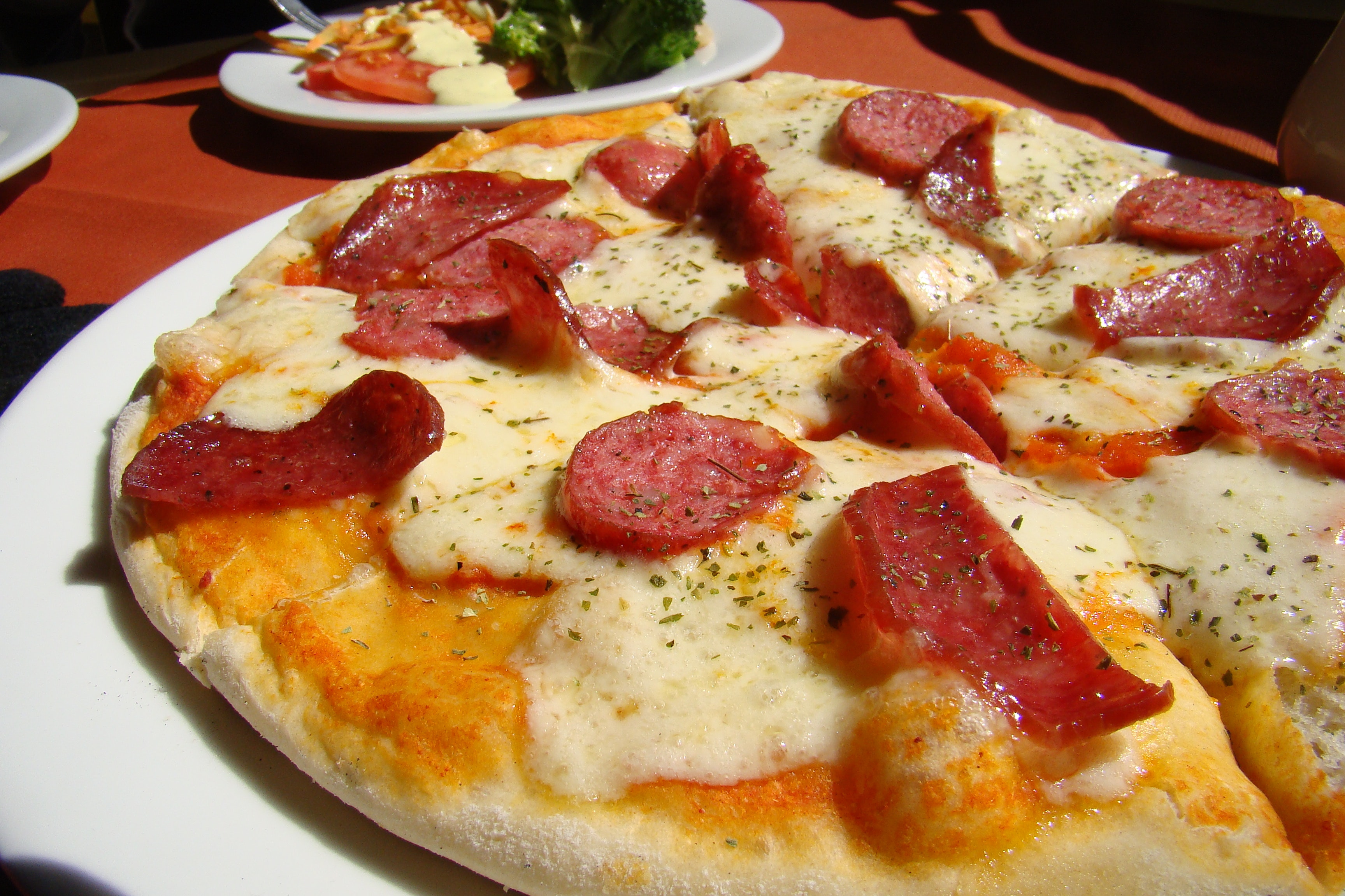 SBA Preapproved - Gulf Coast Highly Profitable Pizza Restaurant