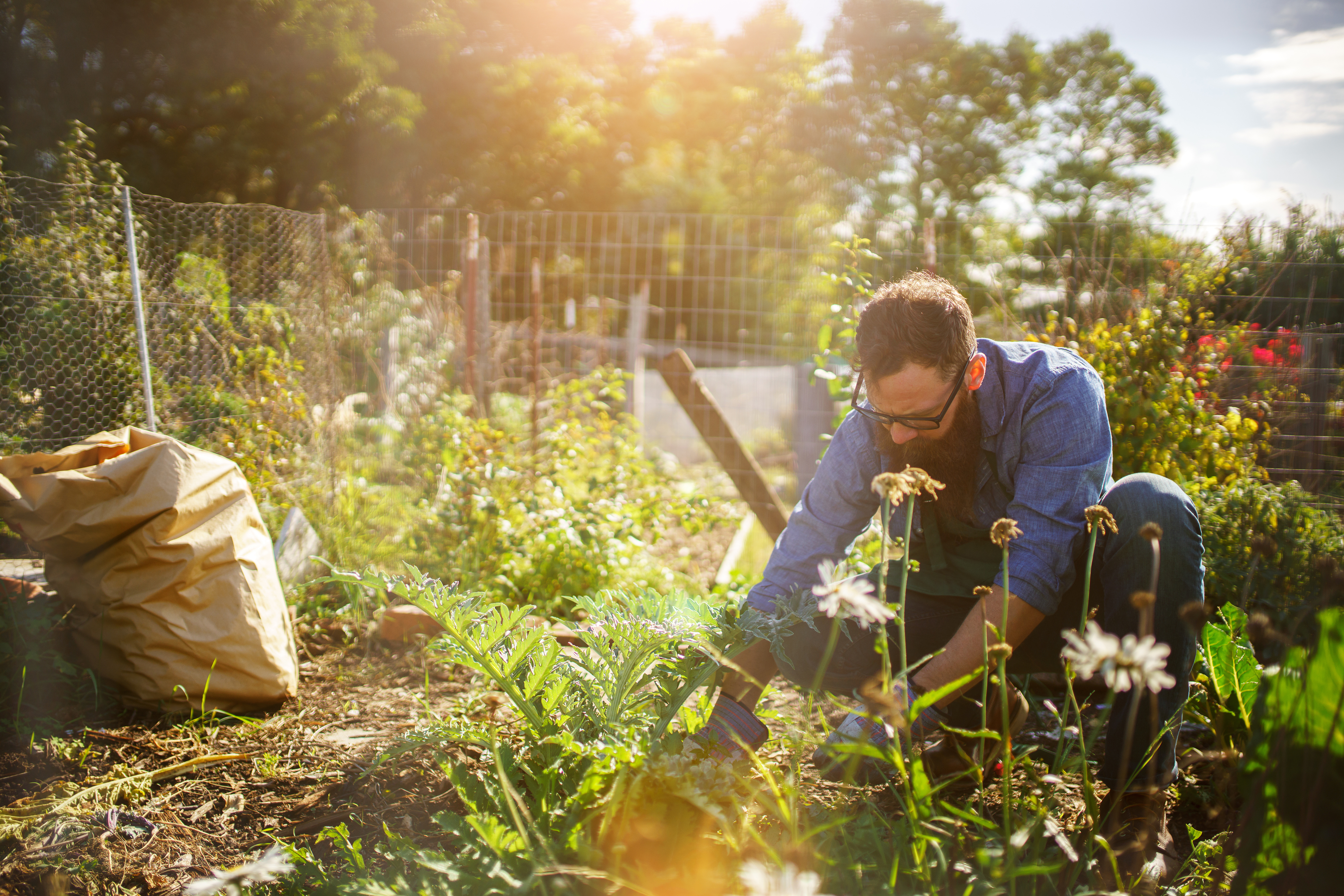 Residential Garden & Landscape Business in Middlesex County