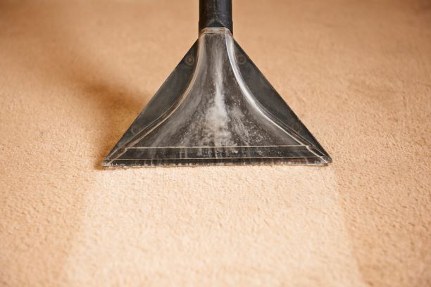 Mobile Carpet Cleaning Business-Exclusive Metroplex Territories
