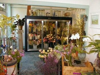 Long-time independent Florist in attractive Suffolk Co Northshore