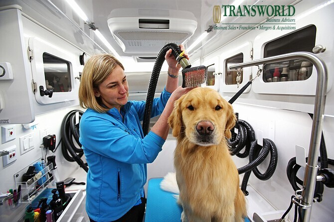 Thriving Bay Area Mobile Pet Groomer with Fleet of Vehicles