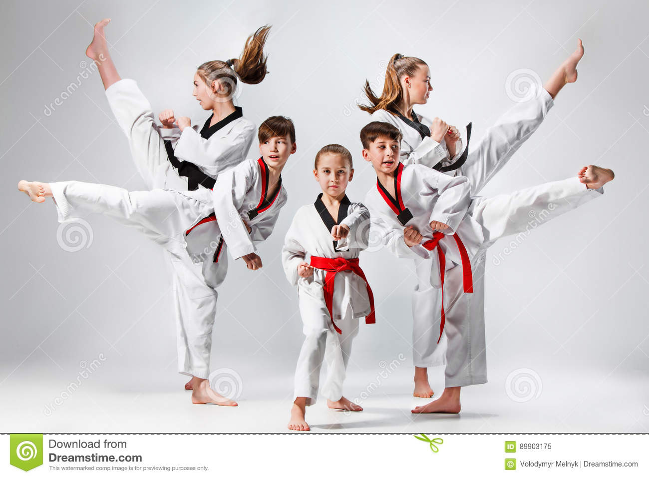 Martial Arts Franchise Territories for Sale