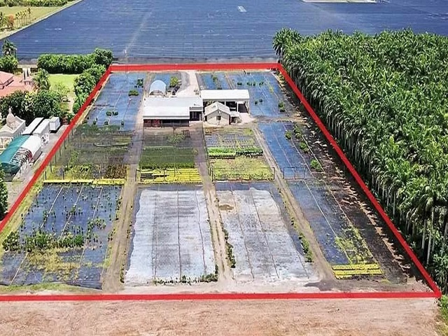 Established Agriculture Business with Acreage for Sale