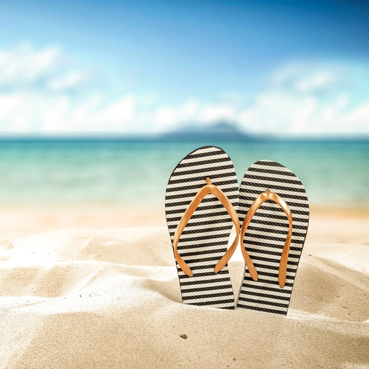 Highly Visible Flip Flop Franchise