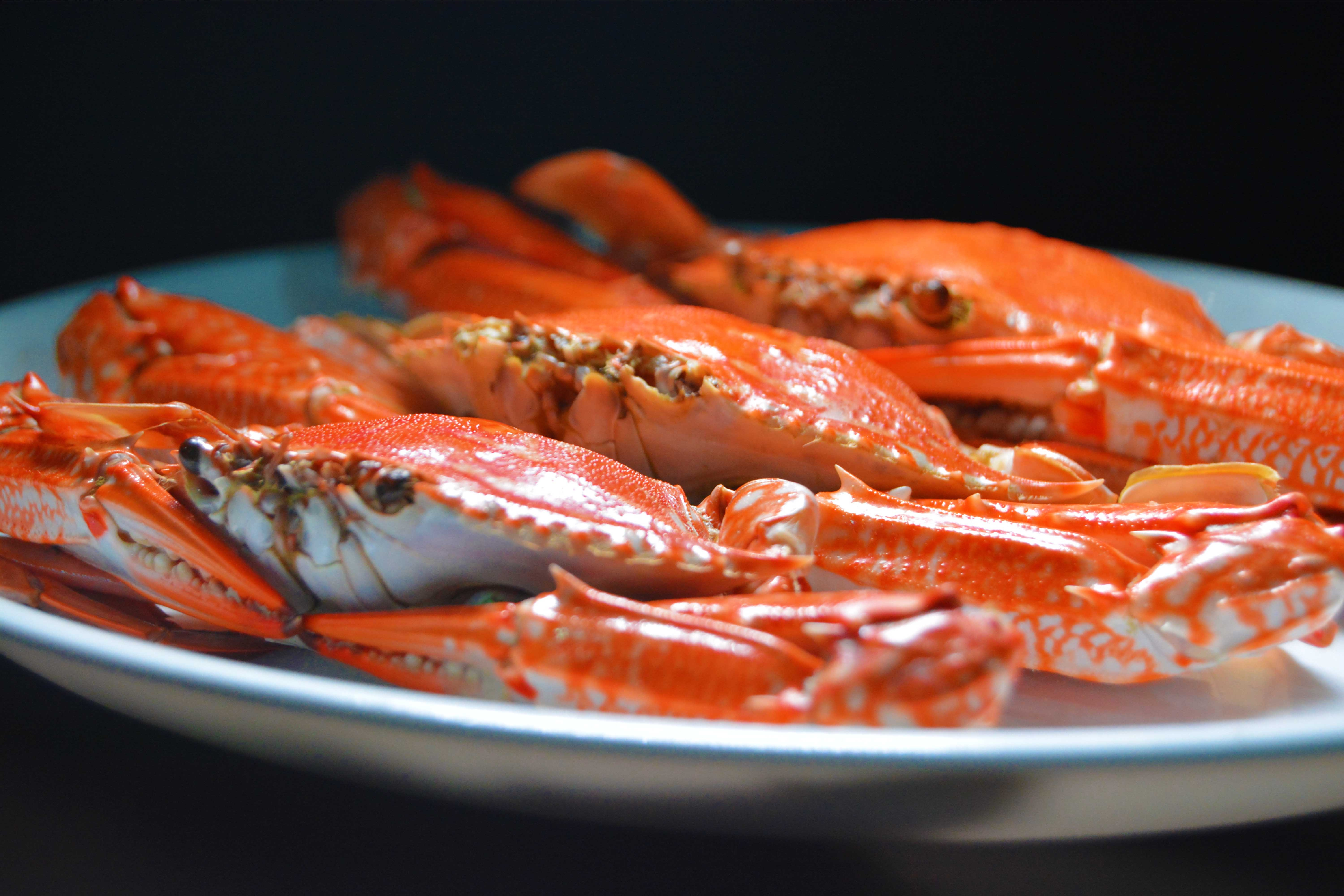 Seafood Wholesale & Retail Business in Eastern NC