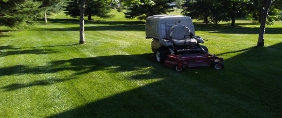 Large, Profitable 4 Season Landscaping/Lawn Services 