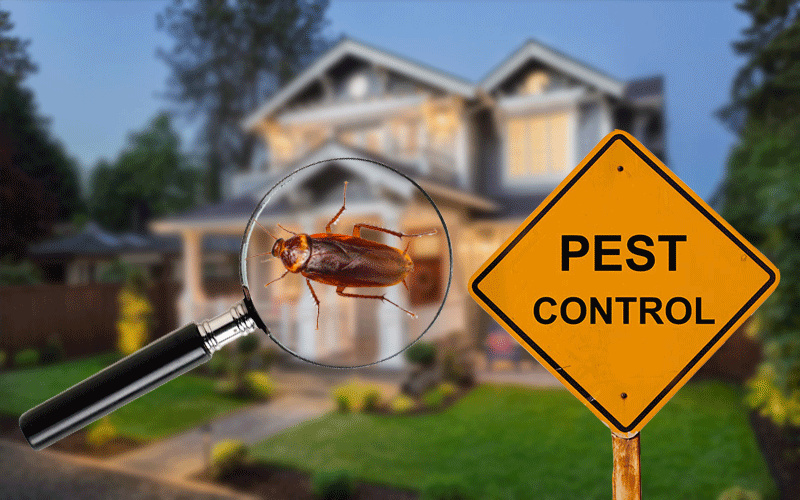 Pest and Termite Control- Mostly Owner Absentee