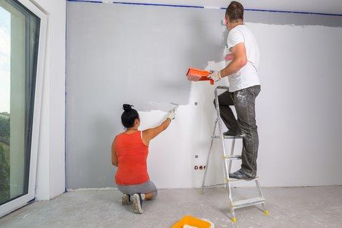 Painting Biz in Southern MN with Large Client Base