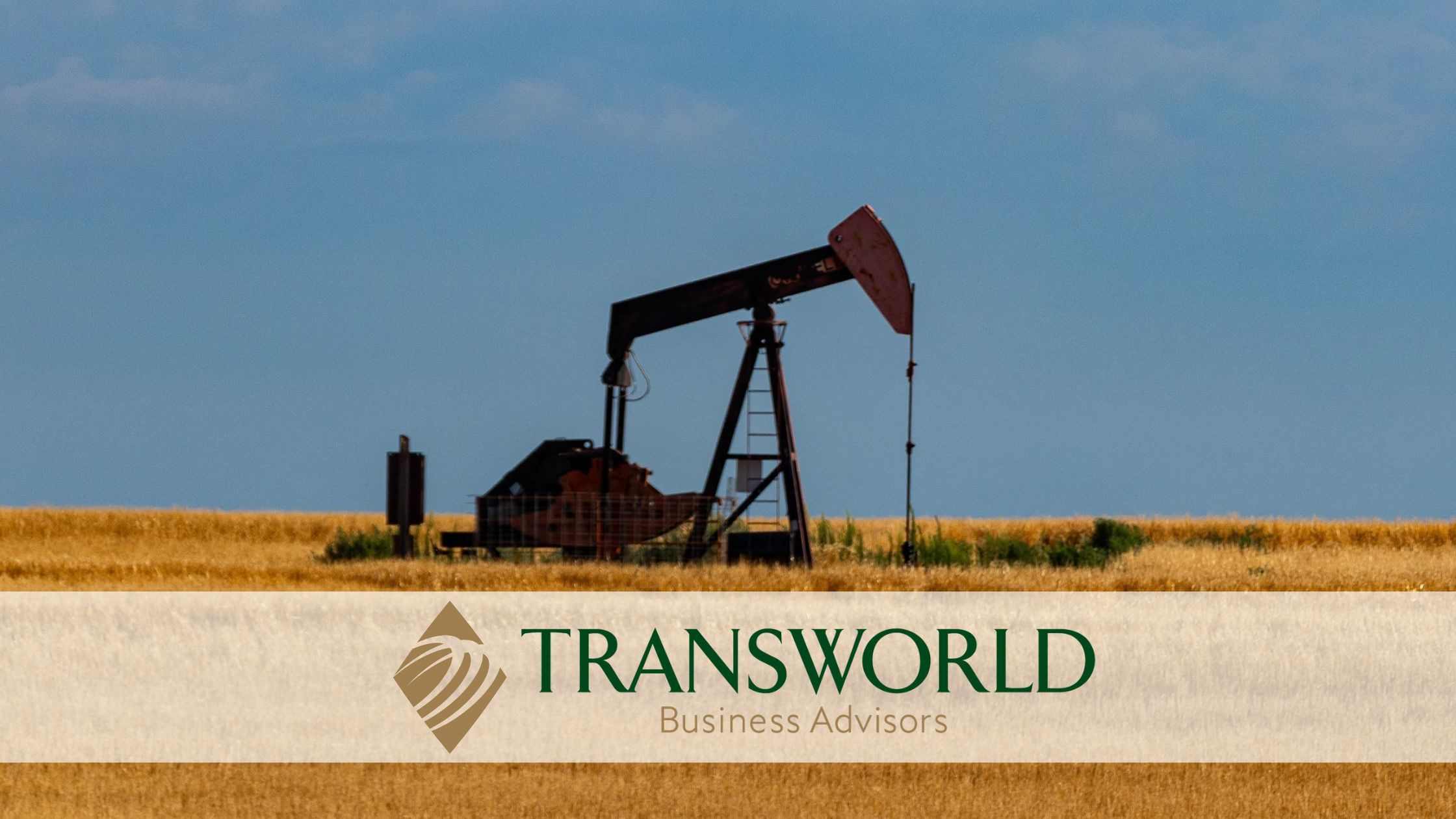 Very Profitable Oil Field  Supply and Service