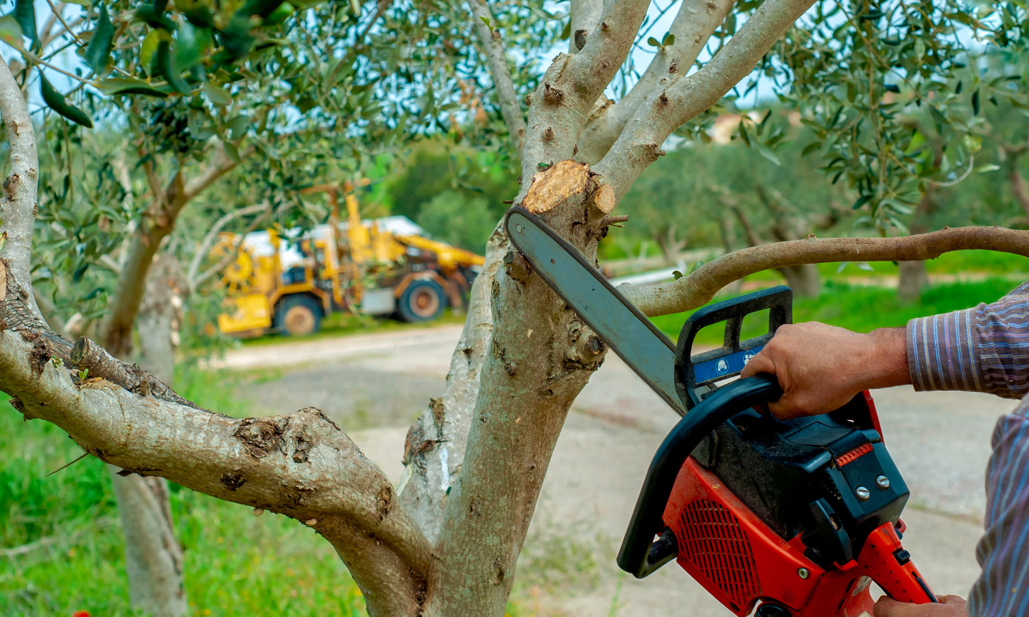 Profitable Tree Service Business - Looking for New Owner 