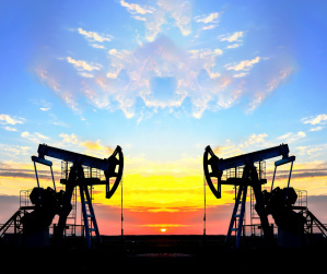Profitable Distribution and Manufacturing  Oil & Gas Industry