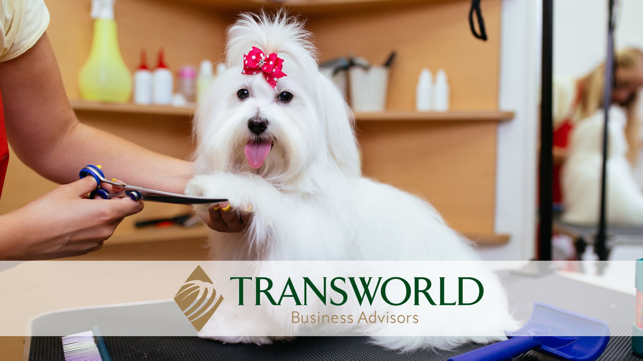 Quality Pet Care Grooming Business in Katy