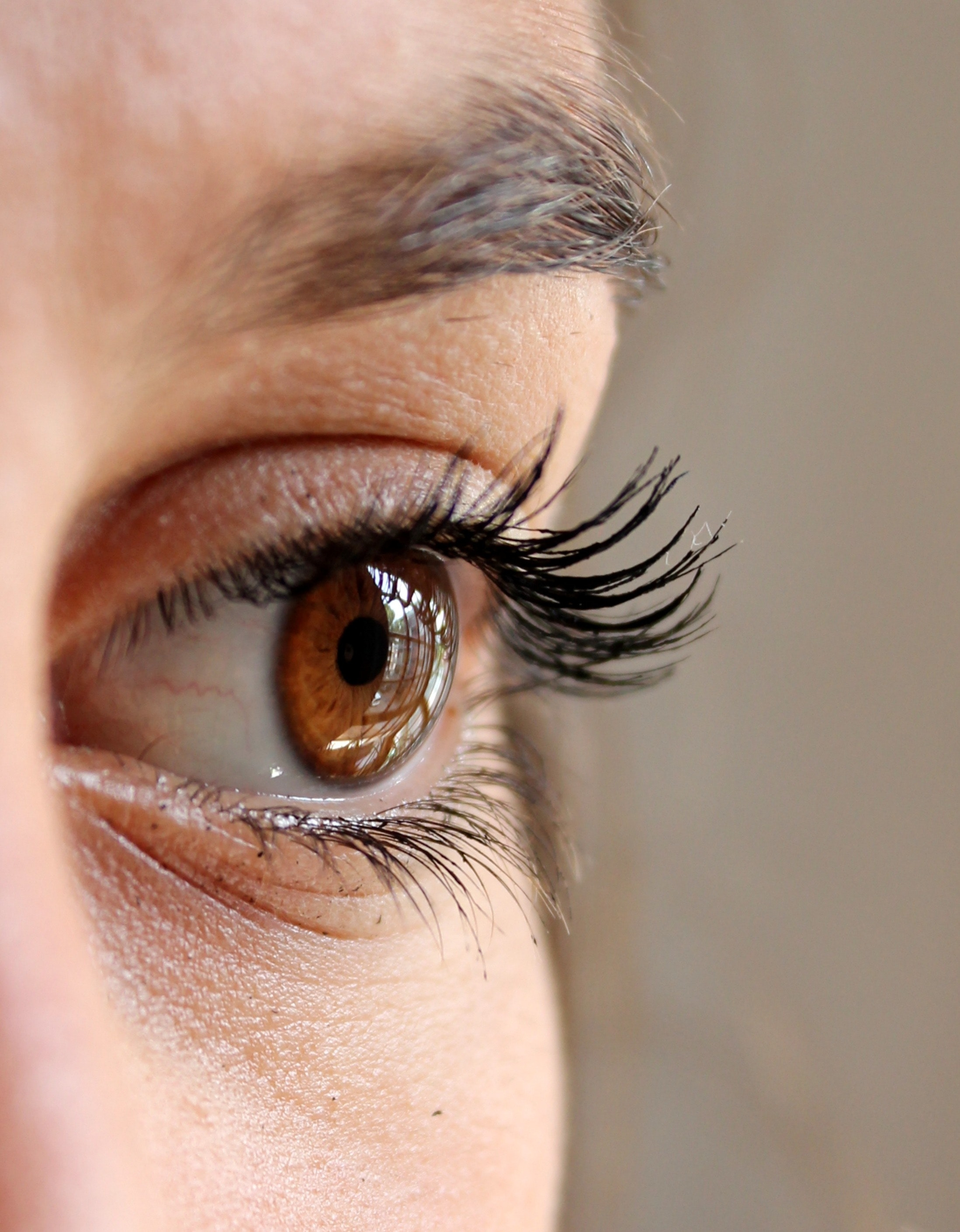 Experience Rapid Success with a Thriving Eyelash Studio