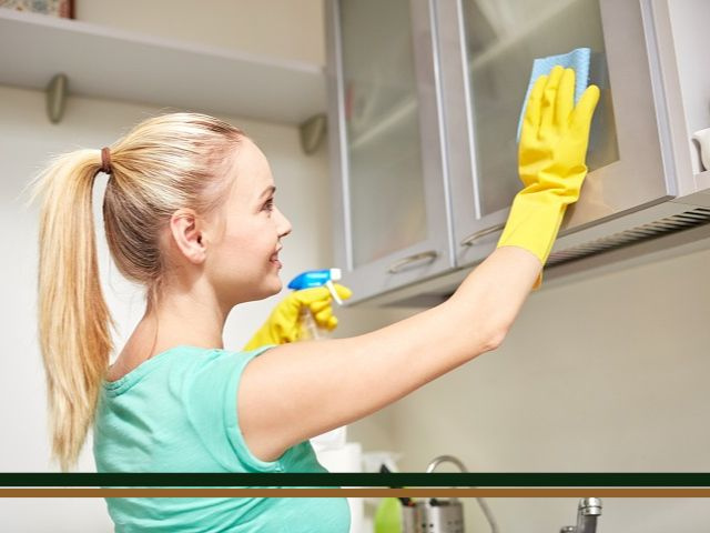 Profitable Cleaning Franchise of 30 yrs. Seller Financing!