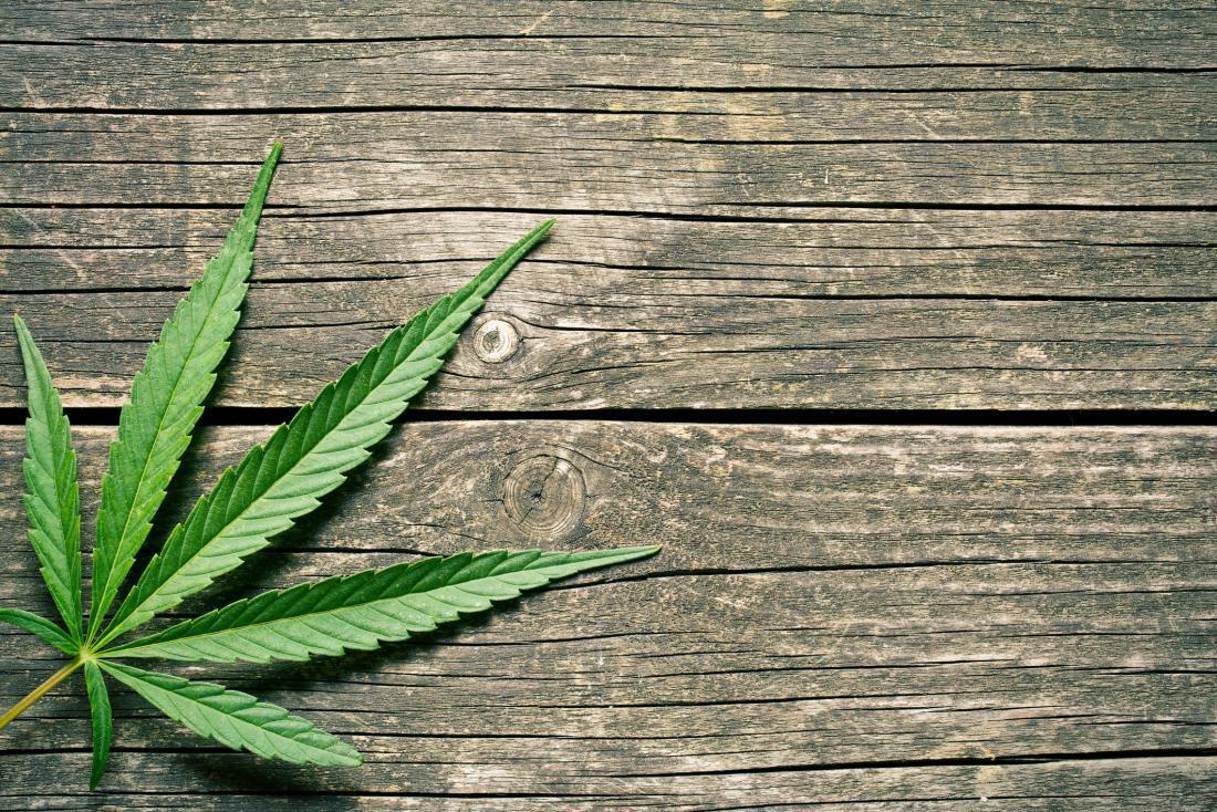 Indoor And Outdoor 8.5 Acre Cannabis Grow