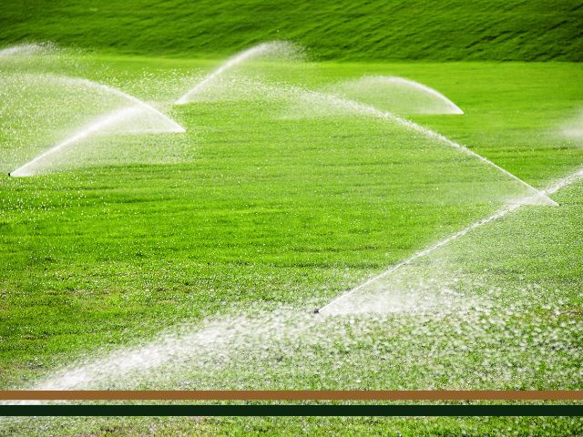 Irrigation and Turf Business For Sale