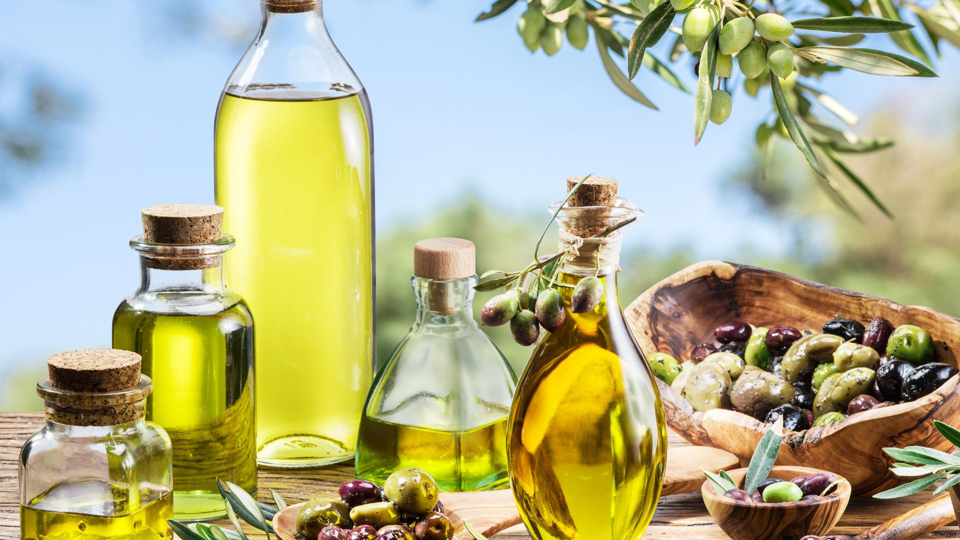 Olive Oil & Balsamic Vinegar Gourmet Store
