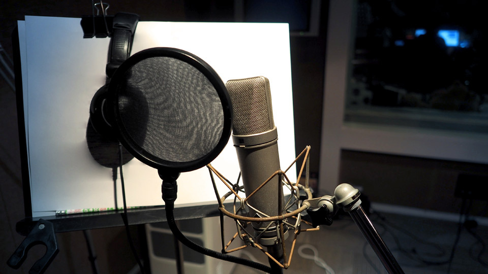 Voiceover and Translation Services Provider