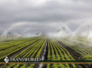 Award-Winning Residential & Commercial Irrigation Installs