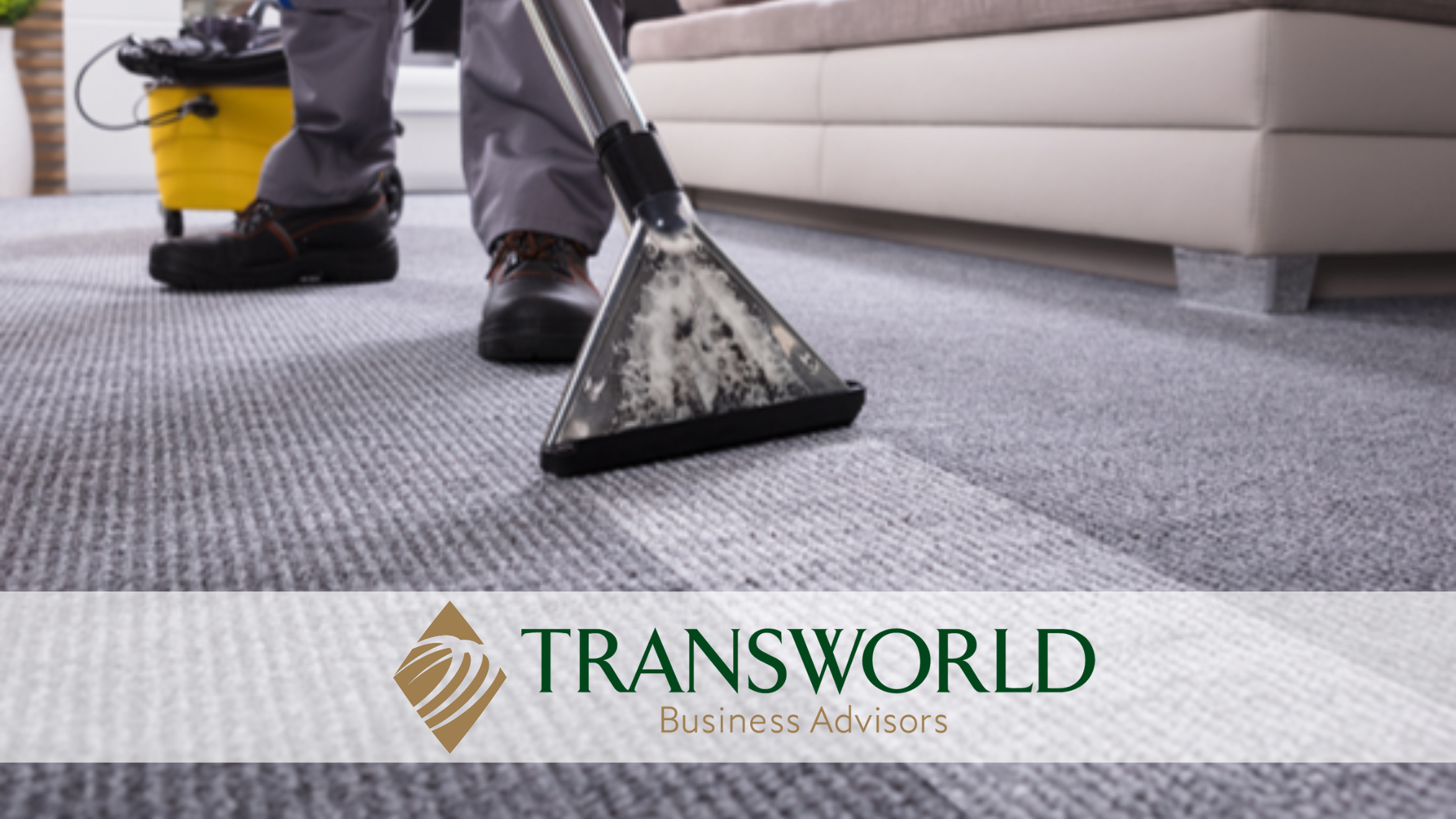 Profitable Carpet Cleaning in North Houston