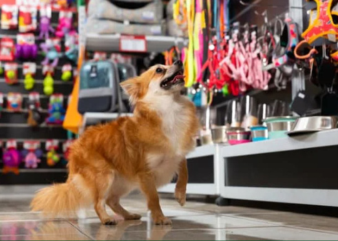 Pre-Qualified Pet Supply Franchise - Two Locations in Alabama