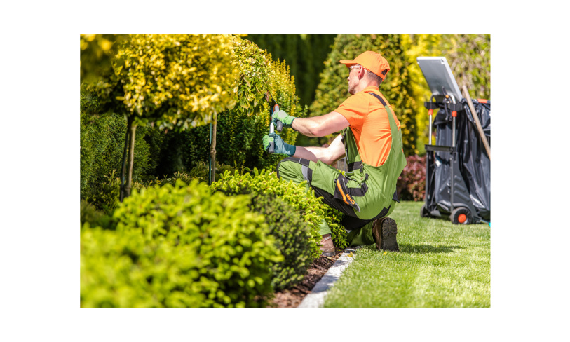 40+Year Landscape Maintenance Business - Recurring Revenue 