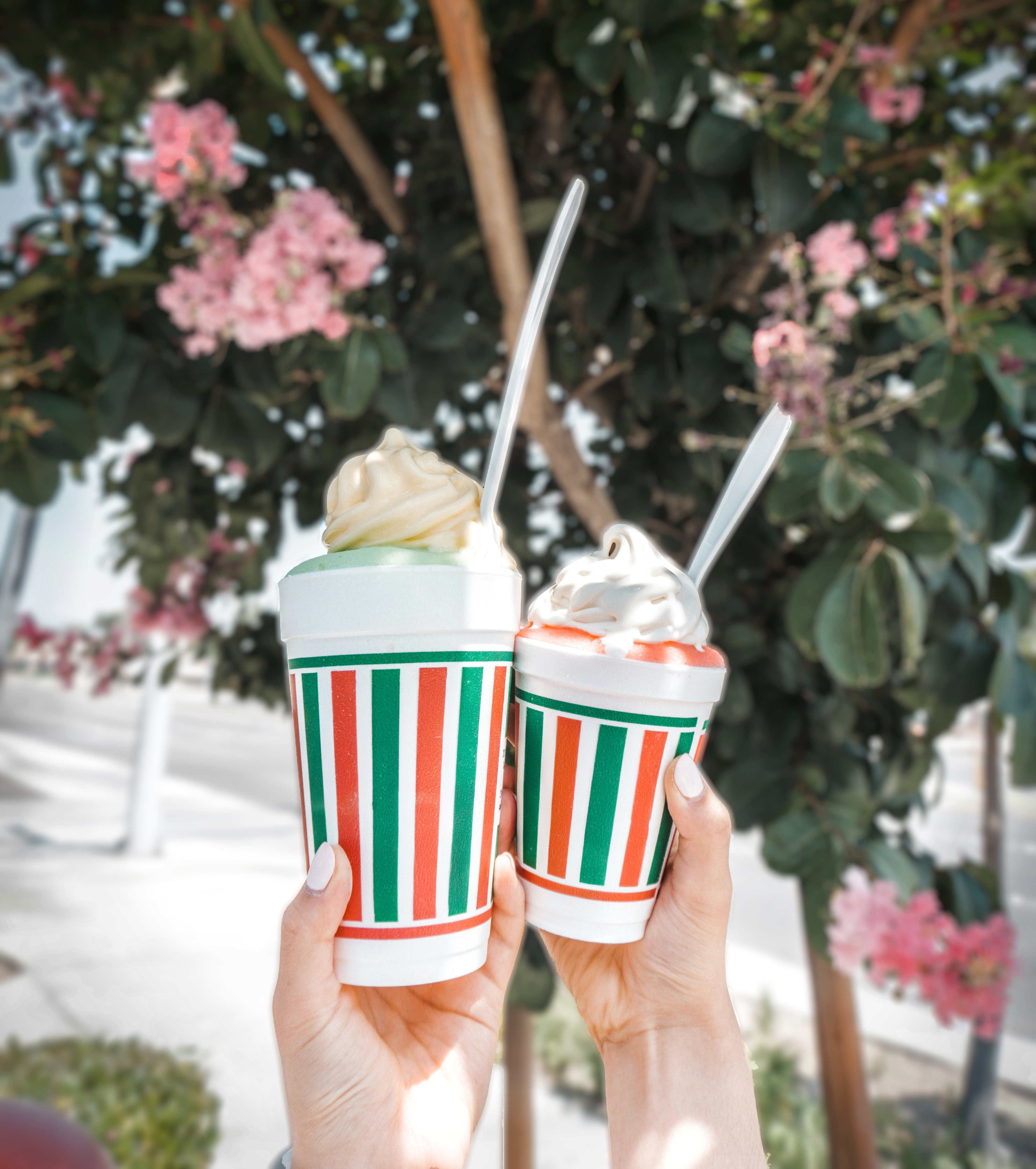 Own a Successful and Popular Italian Ice Store and More! 