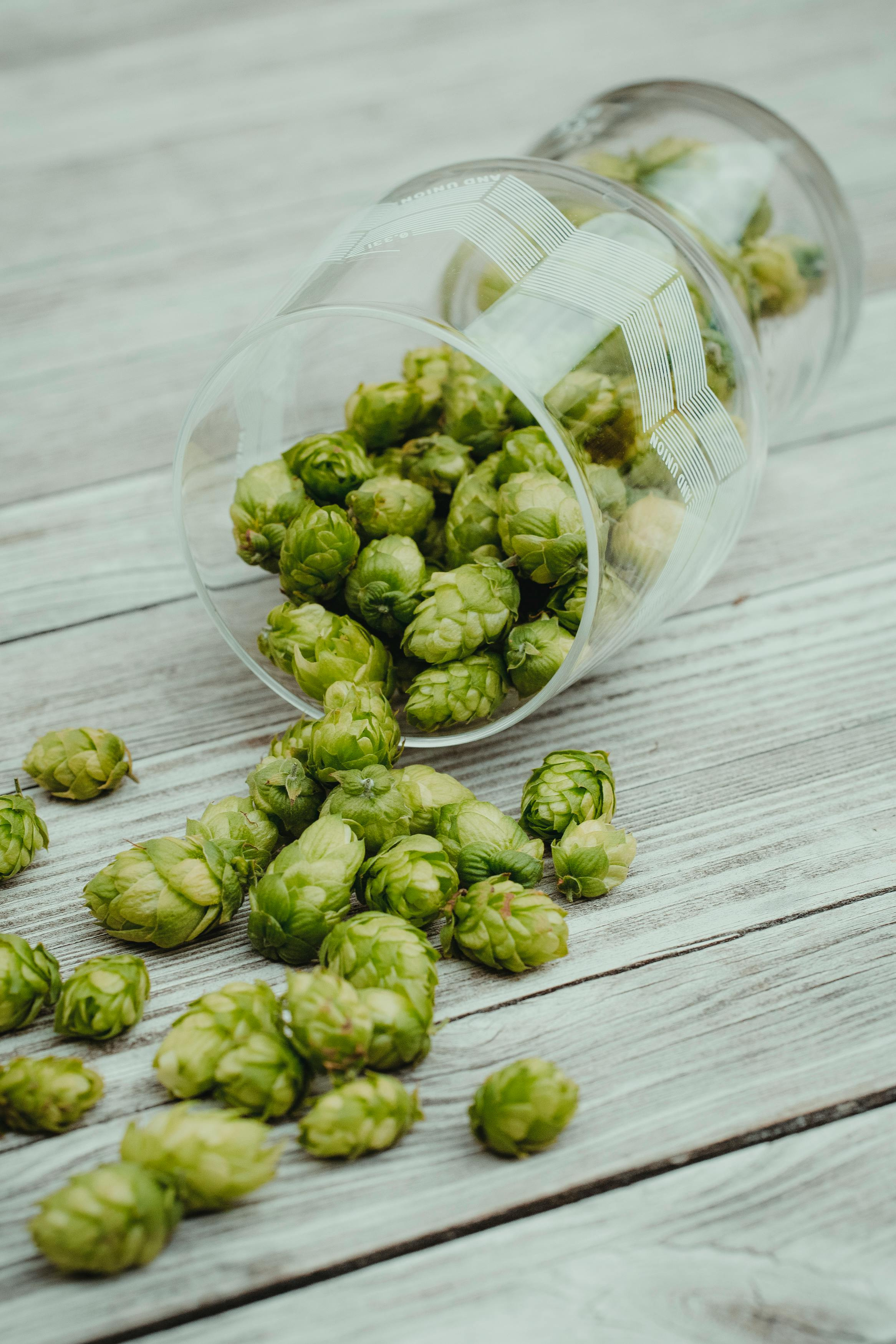 Semi-Absentee International Online Brewery Supplier--$600K SDE!