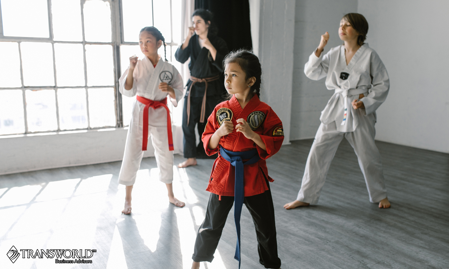 Two Martial Arts Schools - New Buildouts, Fully Staffed!