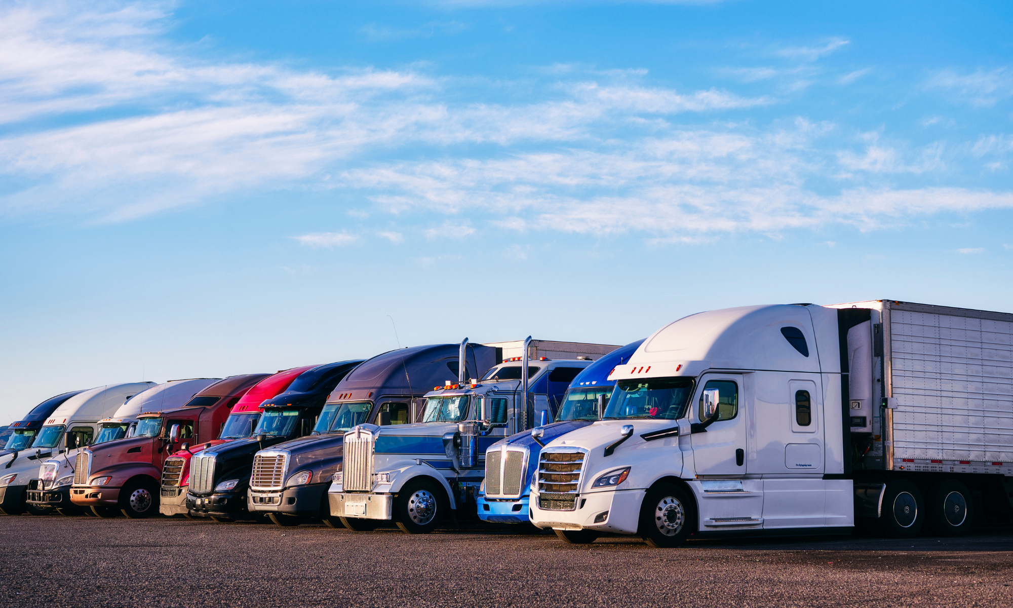 Trucking; Local, 12 Drivers, Absentee, 15 Trucks/Trailers Includ.