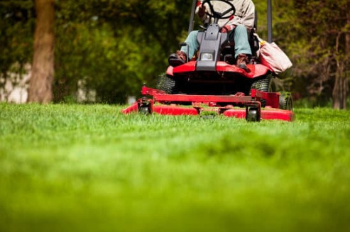 Established Commercial Lawn Care Business in Mobile County