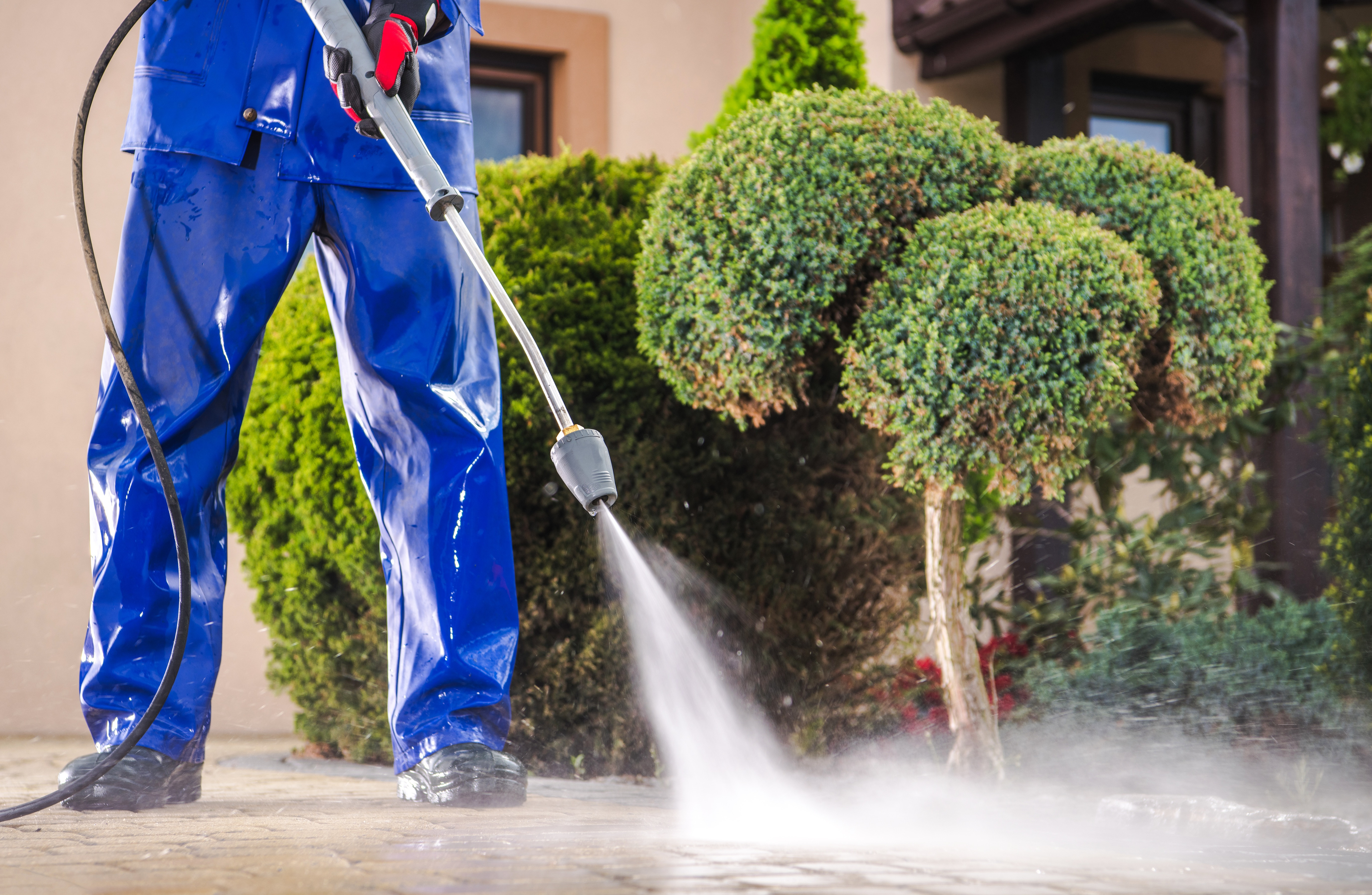 Wash Away the Competition: Thriving Pressure Washing Biz