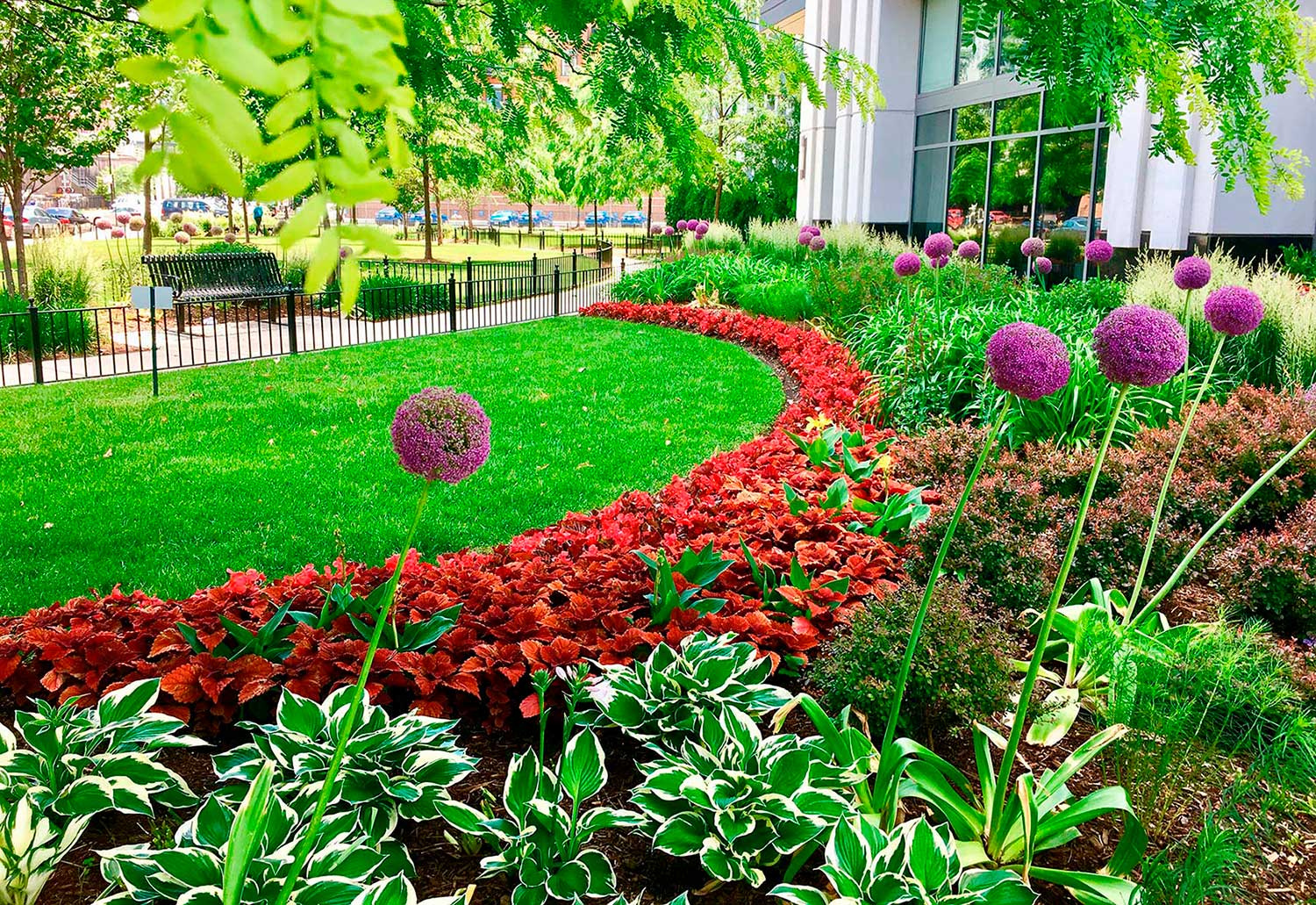 Landscape Lawn Biz w Strong Recurring Revenue - Metro Atlanta