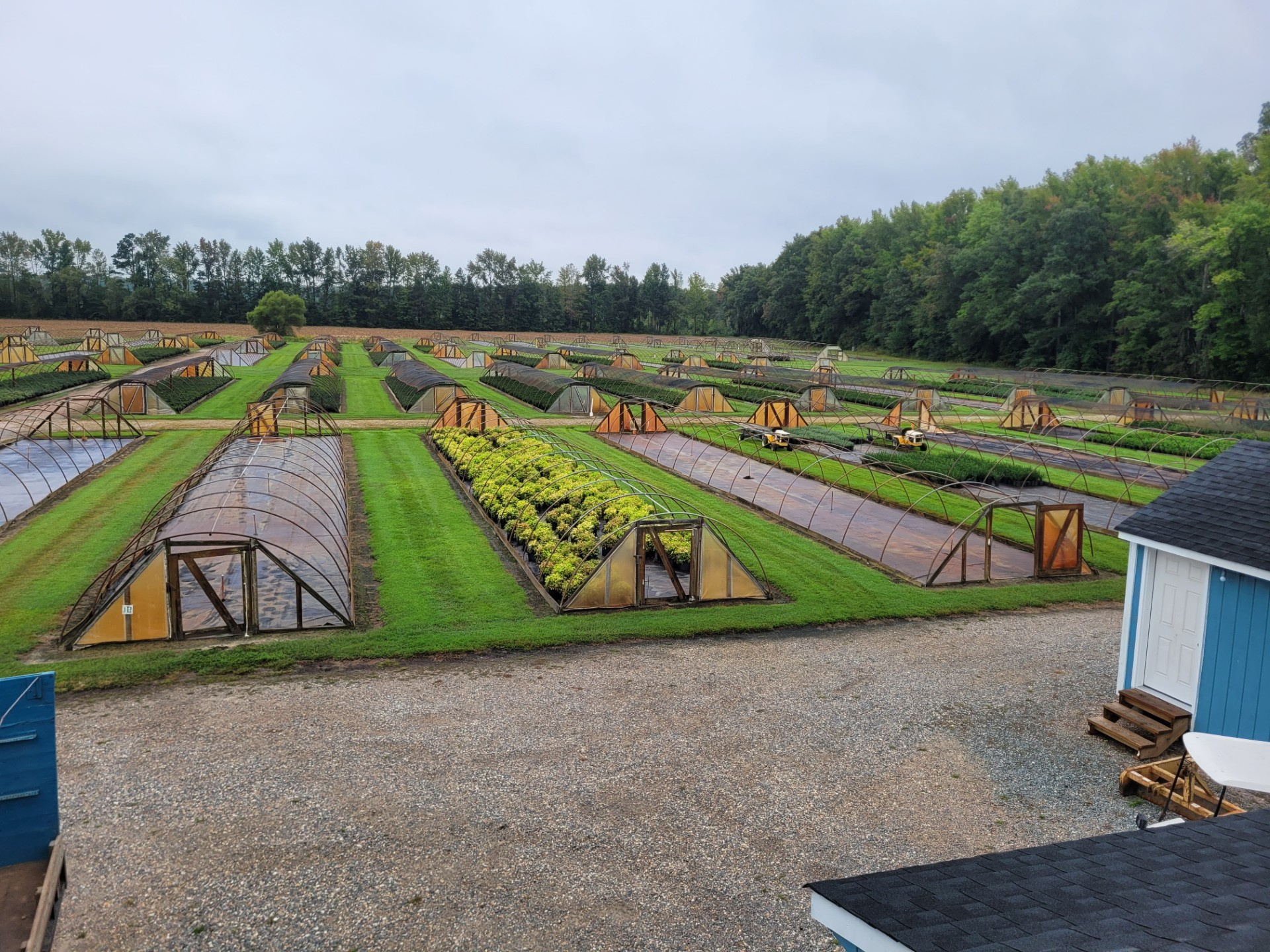 Virginia Wholesale Nursery With 40+ Yr History and 76 Acres  