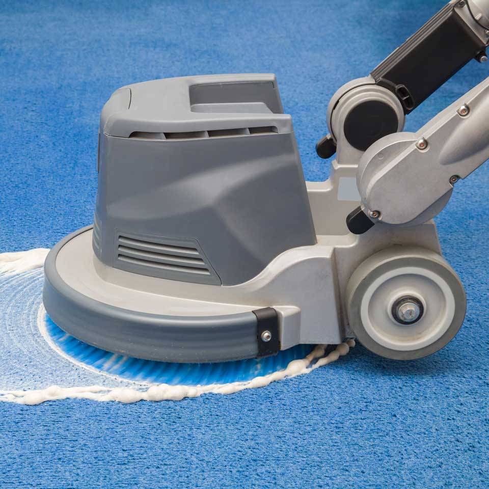 Home-Based Carpet Cleaning Business with Growth Opportunities