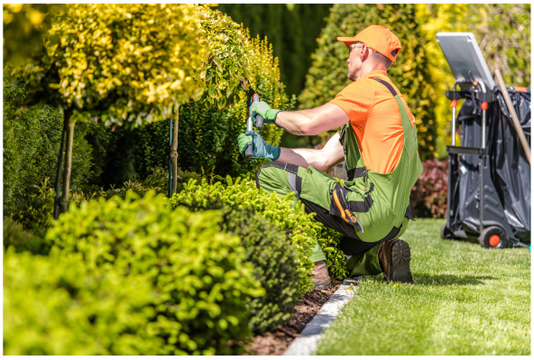 Successful Sprinkler & Landscaping, Snow Removal Business