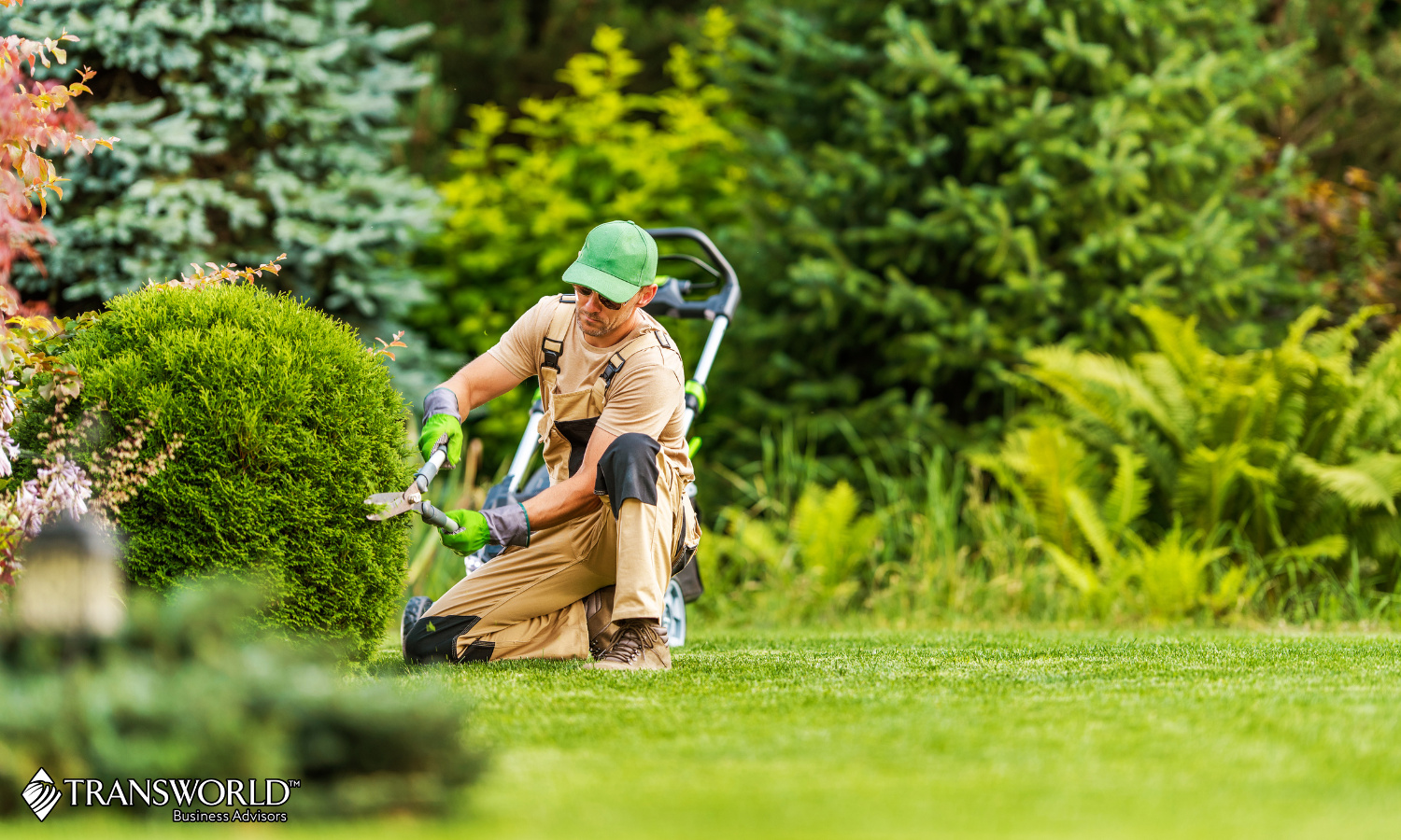 Step into a Turnkey Landscaping Business with Proven Growth!