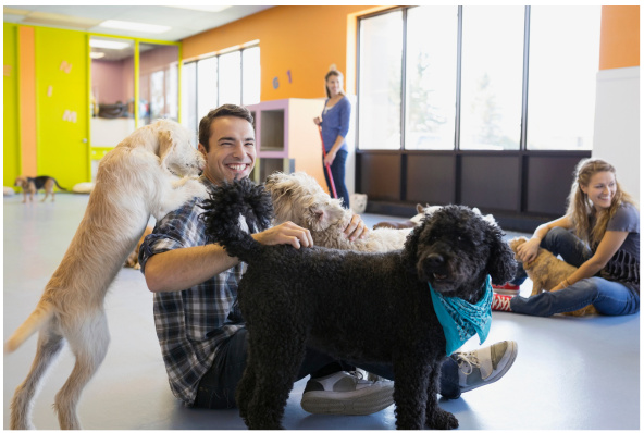 Thriving Dog Daycare with Training and Grooming Services