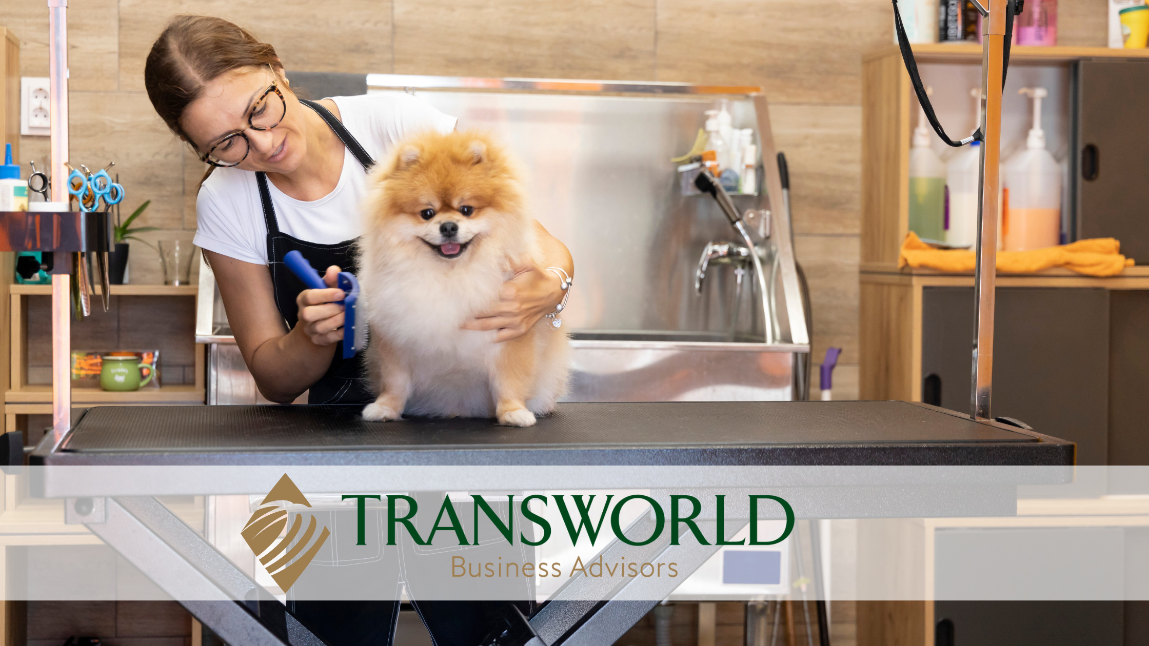 Fully Functioning Pet Grooming & Boarding Business