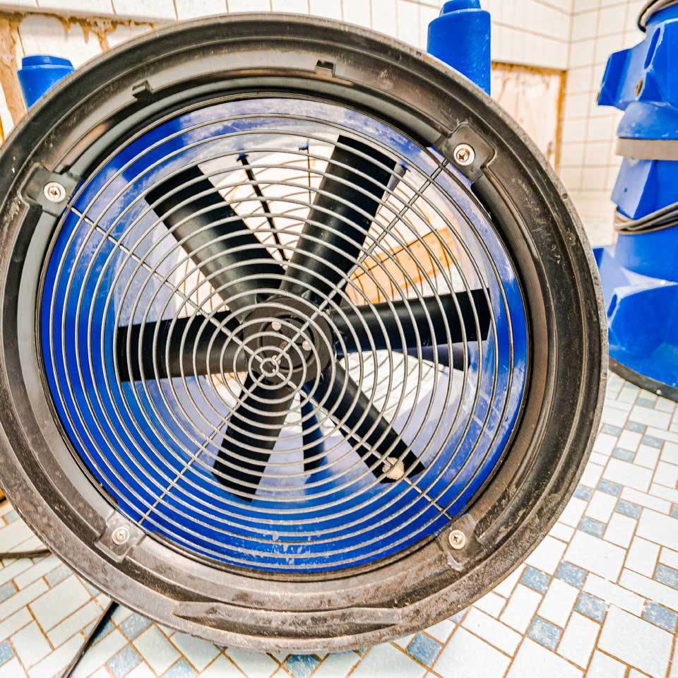 Water and Mold Restoration Business with GM