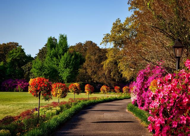 Established Commercial Lawn Care in Boulder County with Contracts