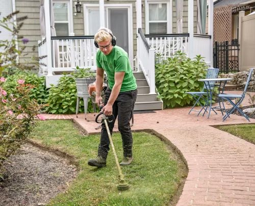 Residential and Commercial Lawn and Landscaping Business