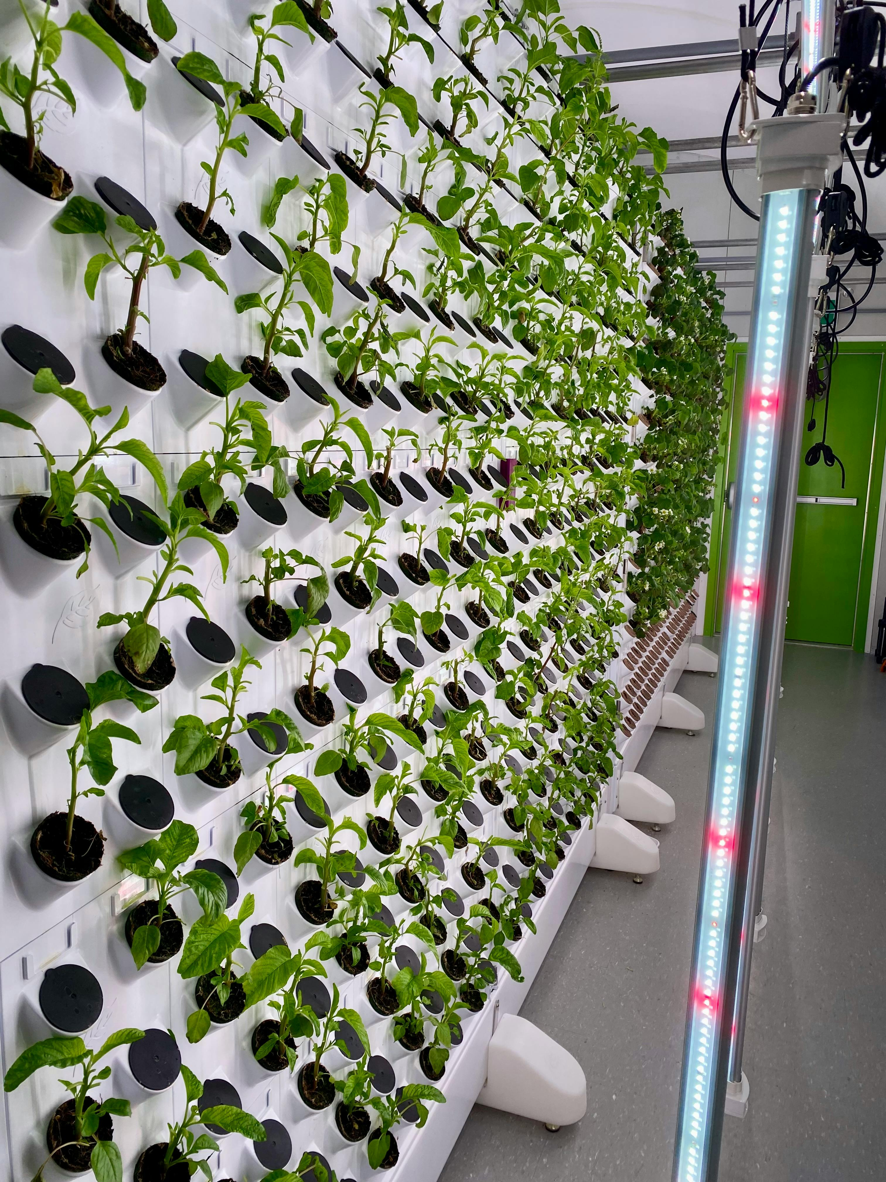 In-Demand Hydroponics Supplier in Northern Virginia