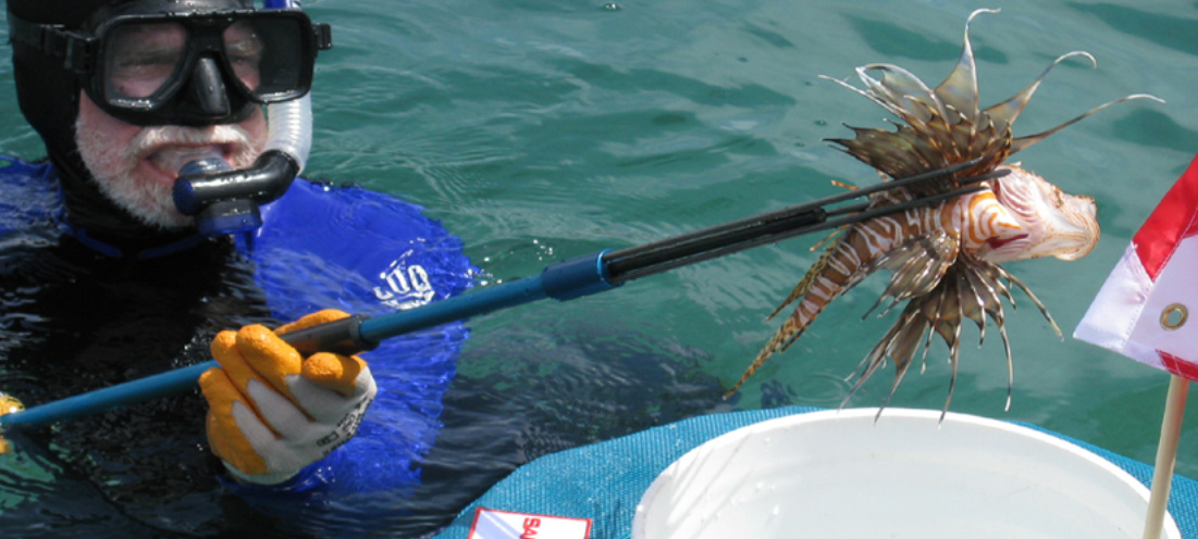 SeaSolutions & SafeSpear - Revolutionize Spearfishing and Marine 