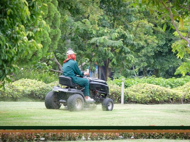 Lawn Maintenance and Leaf Removal Business - Owner Operator