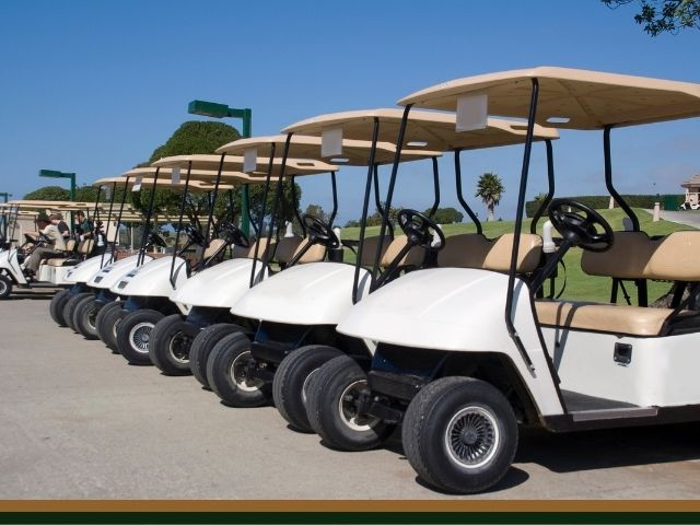 Profitable Golf Cart Repair & Rental Business – Hall County, GA