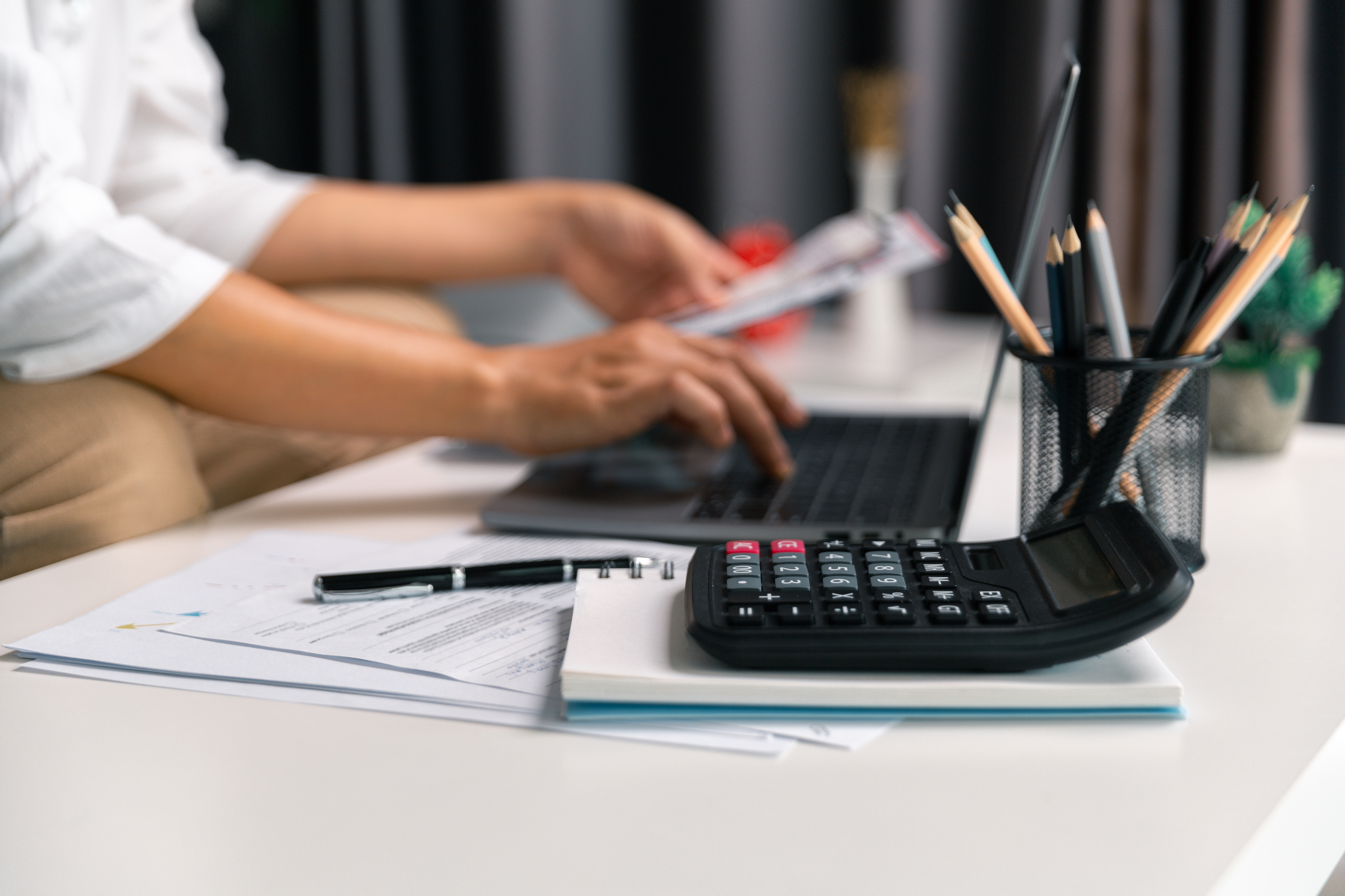 Full-Service Tax Preparation Business in North Shore 
