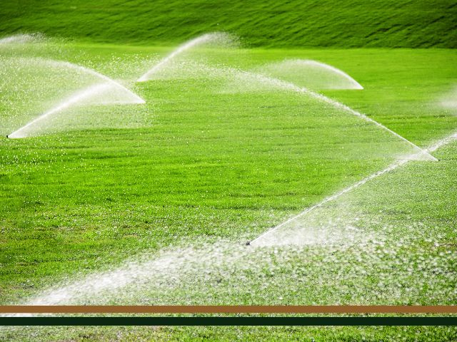 Turnkey Established Irrigation Repair, Maintenance, and Install 